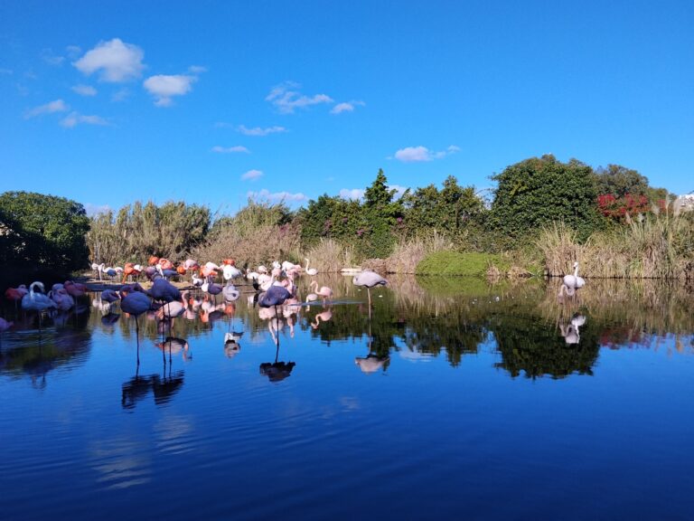 BirdPark Malta
